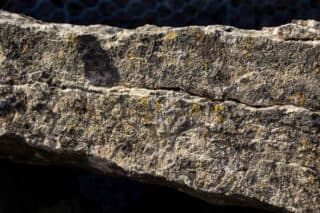 Close up of capstone with possible megalithic carvings