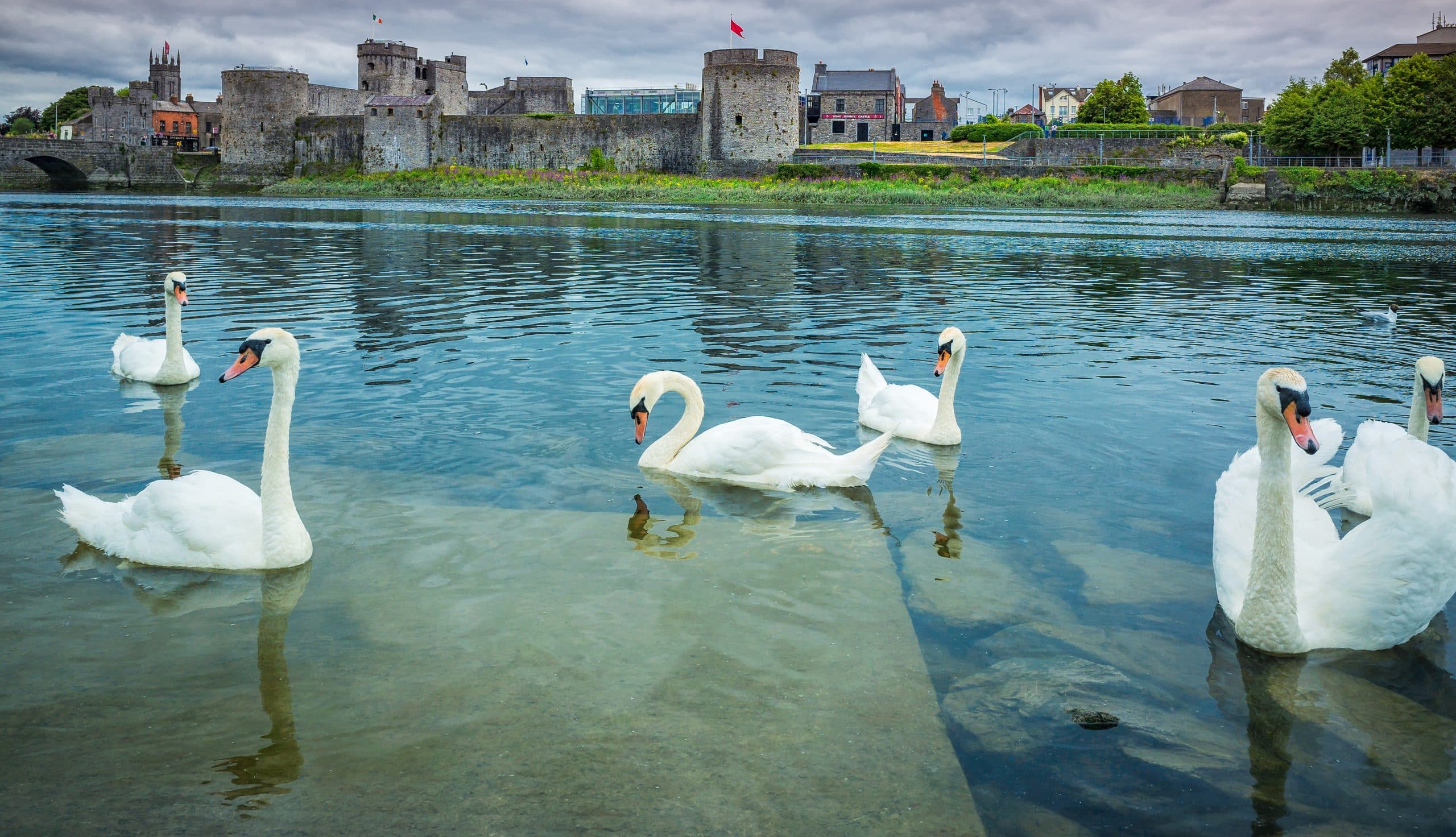 King John's Castle with five drum towers on the banks of the River Shannon