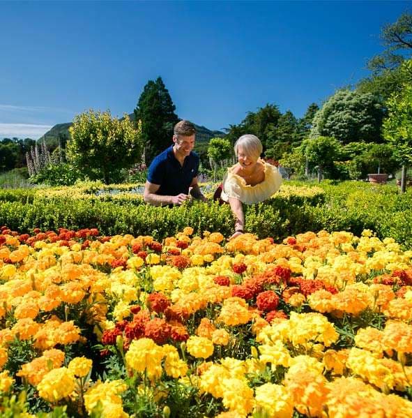 Visitors enjoying the garden parterre at Muckross